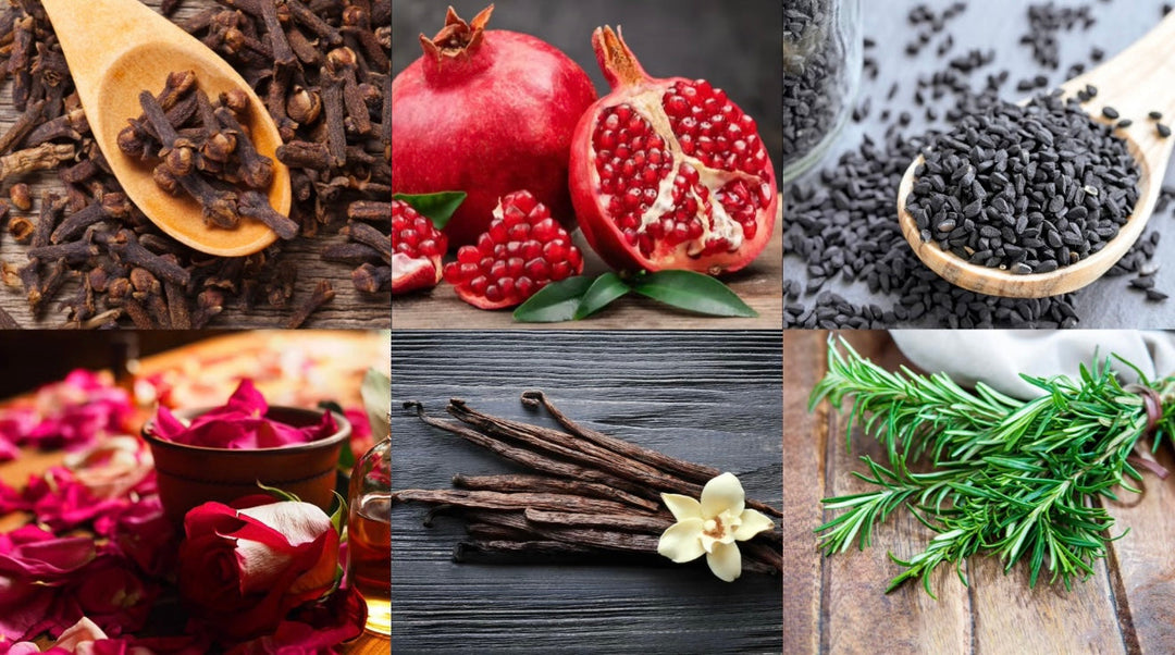 Our ingredients